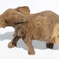 Elefante de ironwood