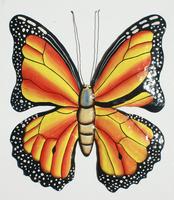 Mariposa color naranja