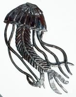 Medusa del mar